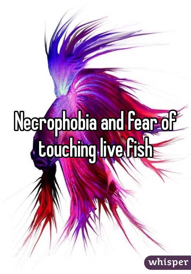 Necrophobia and fear of touching live fish