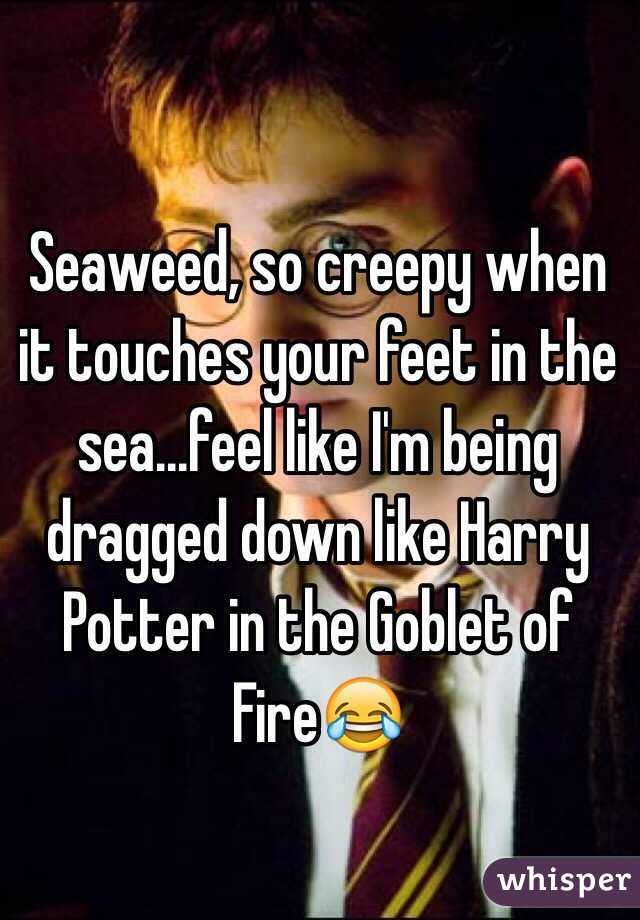 Seaweed, so creepy when it touches your feet in the sea...feel like I'm being dragged down like Harry Potter in the Goblet of Fire😂