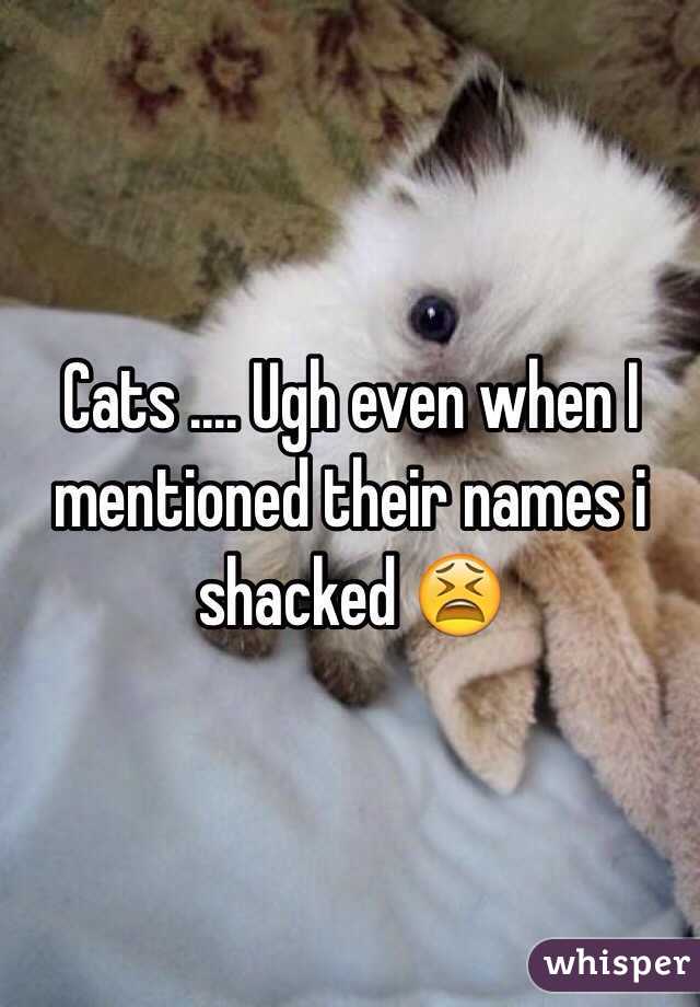 Cats .... Ugh even when I mentioned their names i shacked 😫