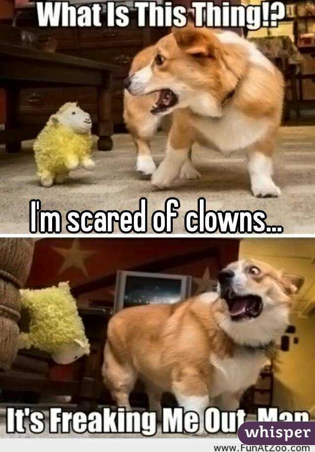 I'm scared of clowns...