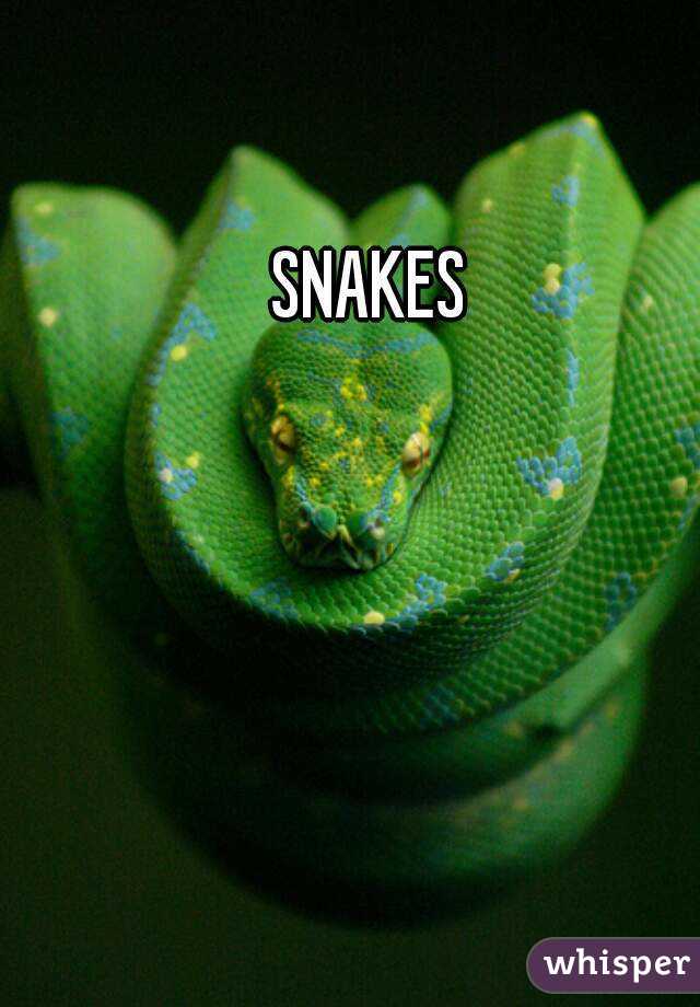 SNAKES 