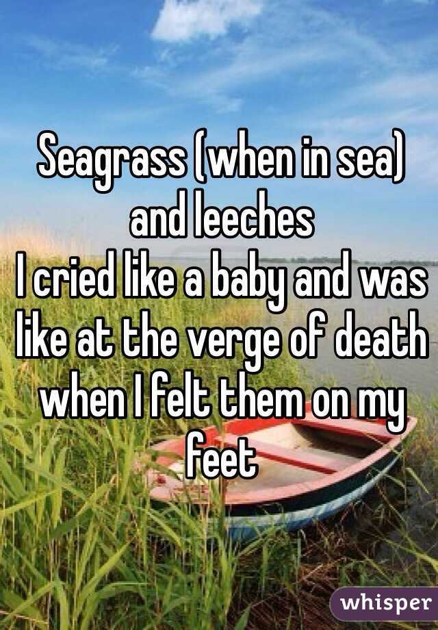 Seagrass (when in sea) and leeches
I cried like a baby and was like at the verge of death when I felt them on my feet