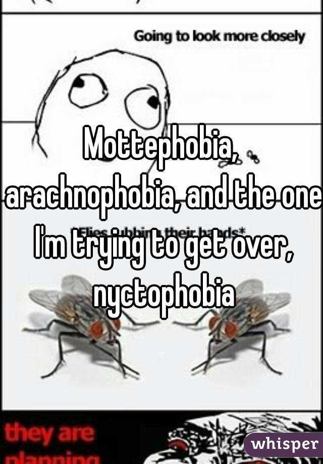 Mottephobia, arachnophobia, and the one I'm trying to get over, nyctophobia