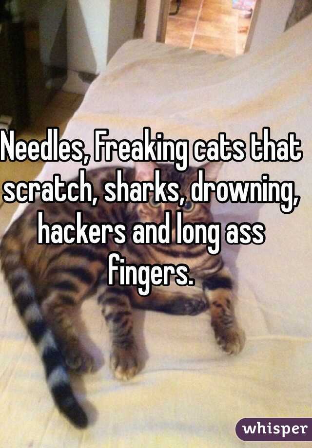 Needles, Freaking cats that scratch, sharks, drowning, hackers and long ass fingers. 