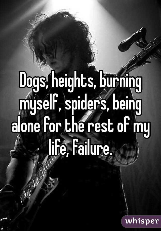 Dogs, heights, burning myself, spiders, being alone for the rest of my life, failure.