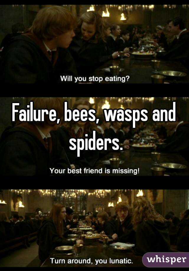 Failure, bees, wasps and spiders.