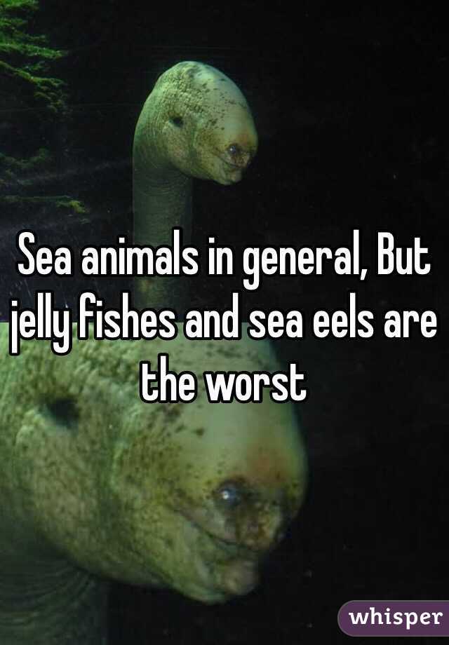 Sea animals in general, But jelly fishes and sea eels are the worst