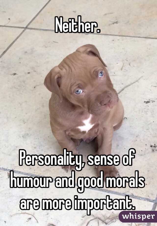 Neither. 





Personality, sense of humour and good morals are more important.