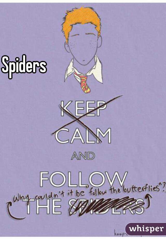 Spiders 
