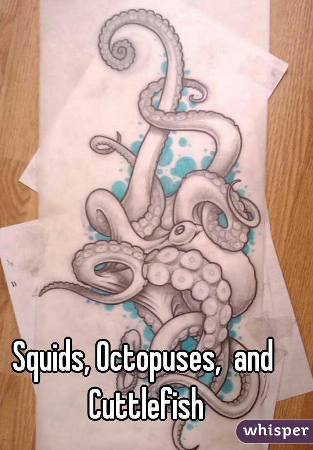 Squids, Octopuses,  and Cuttlefish