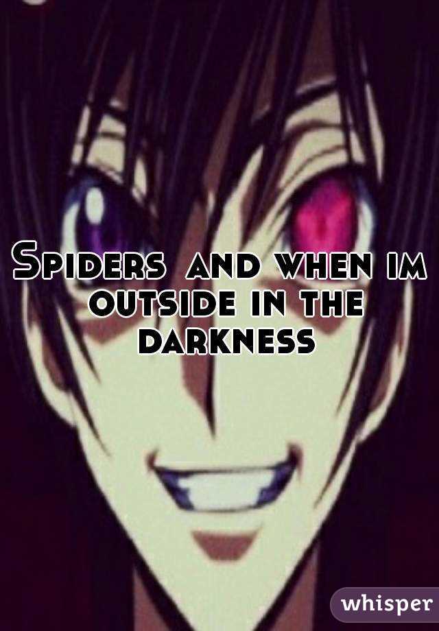 Spiders👡and when im outside in the darkness