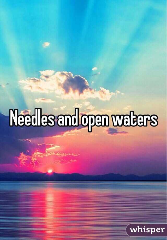 Needles and open waters