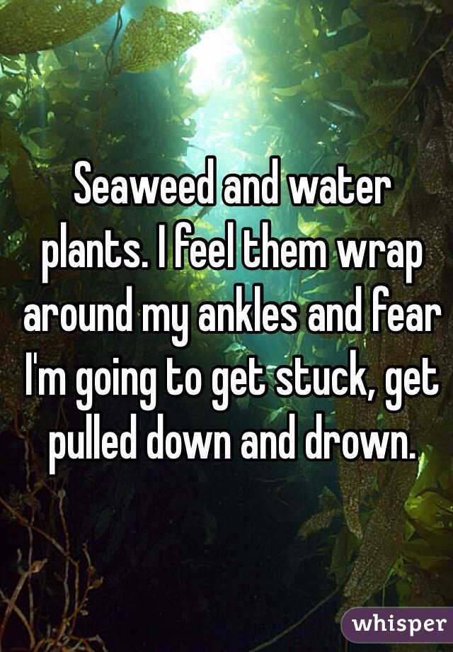 Seaweed and water plants. I feel them wrap around my ankles and fear I'm going to get stuck, get pulled down and drown.