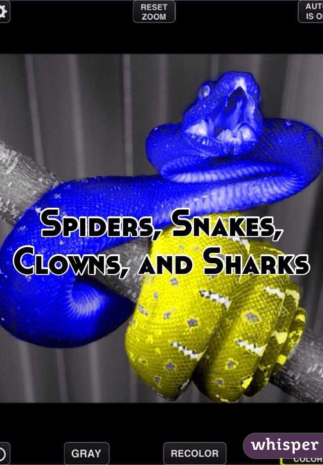 Spiders, Snakes, Clowns, and Sharks