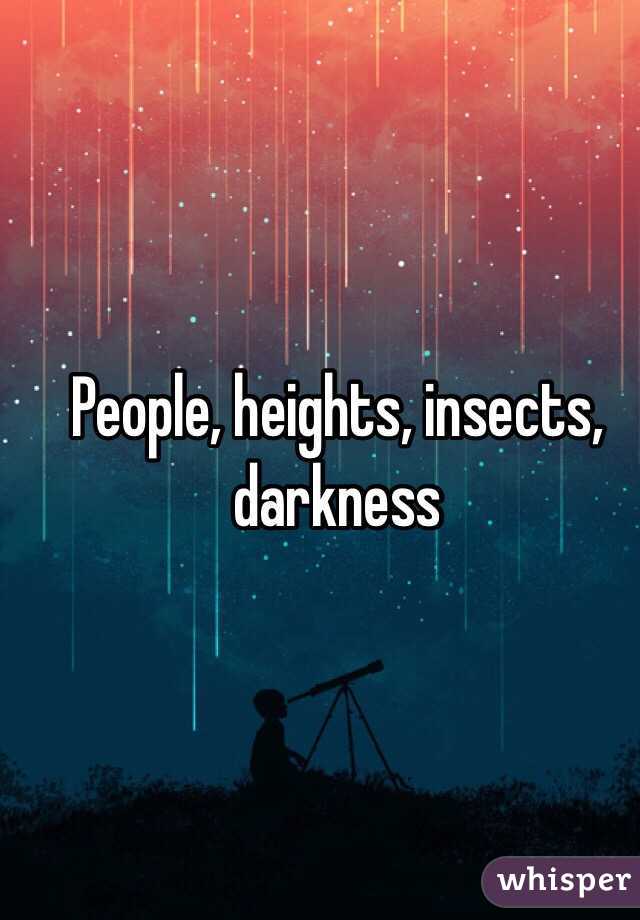 People, heights, insects, darkness