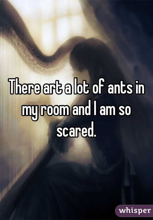 There art a lot of ants in my room and I am so scared.