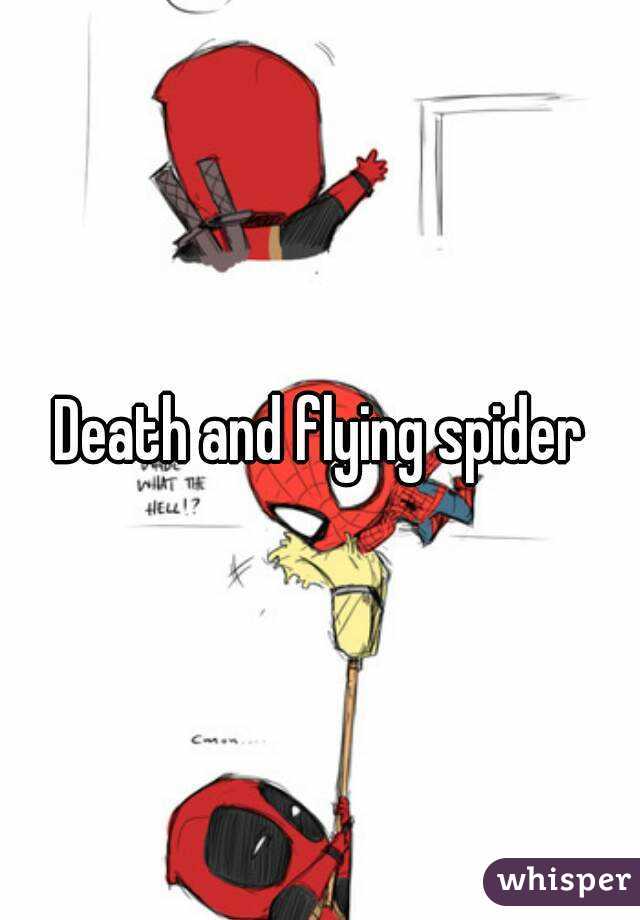 Death and flying spider