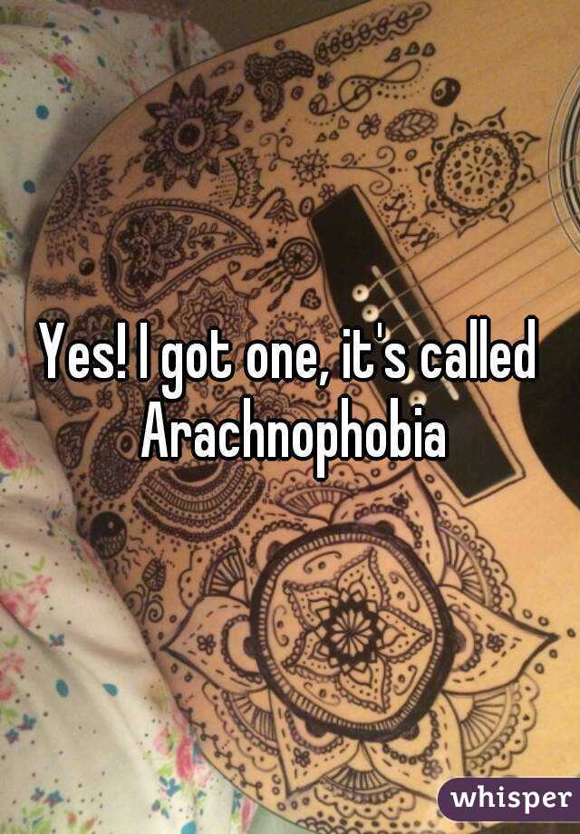 Yes! I got one, it's called Arachnophobia