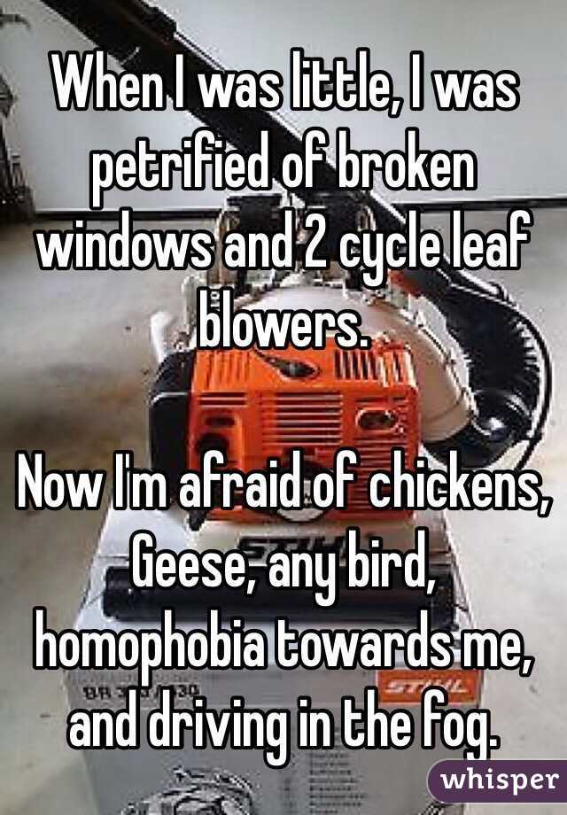 When I was little, I was petrified of broken windows and 2 cycle leaf blowers.

Now I'm afraid of chickens, Geese, any bird, homophobia towards me, and driving in the fog.