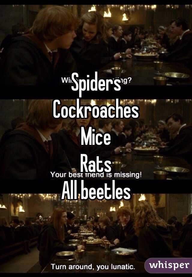 Spiders
Cockroaches 
Mice 
Rats
All beetles 