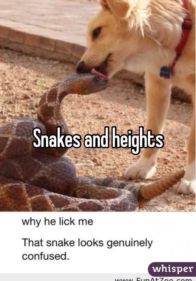 Snakes and heights