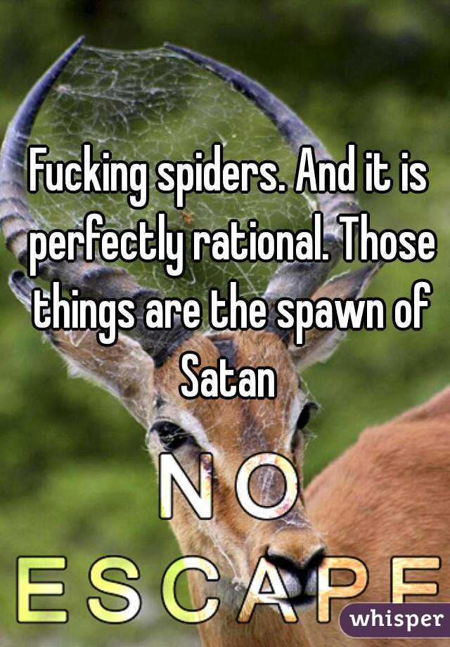 Fucking spiders. And it is perfectly rational. Those things are the spawn of Satan 