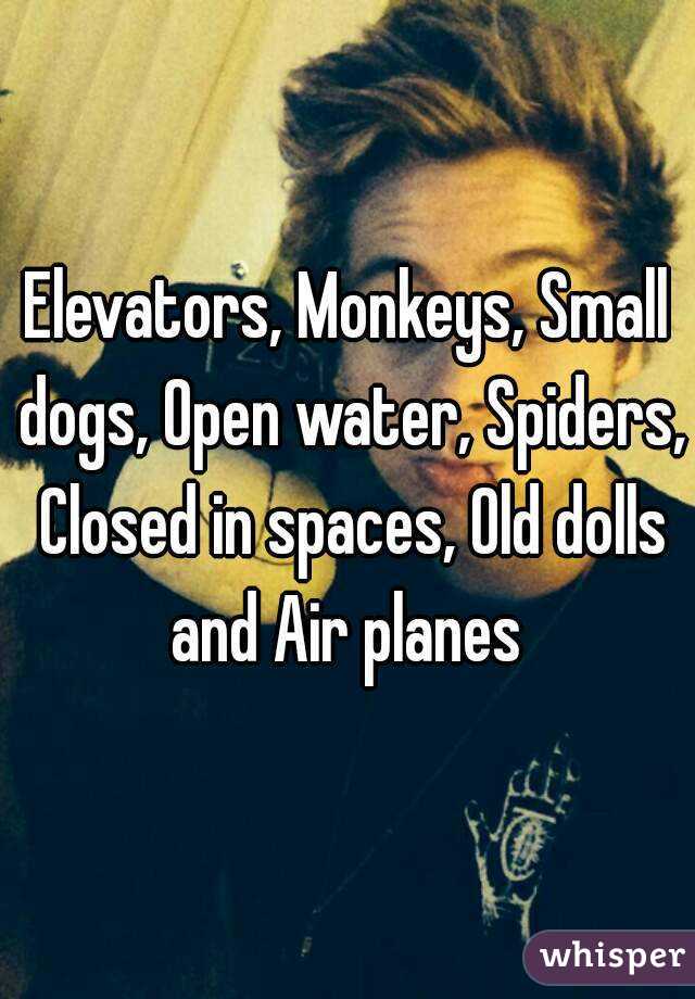 Elevators, Monkeys, Small dogs, Open water, Spiders, Closed in spaces, Old dolls and Air planes 