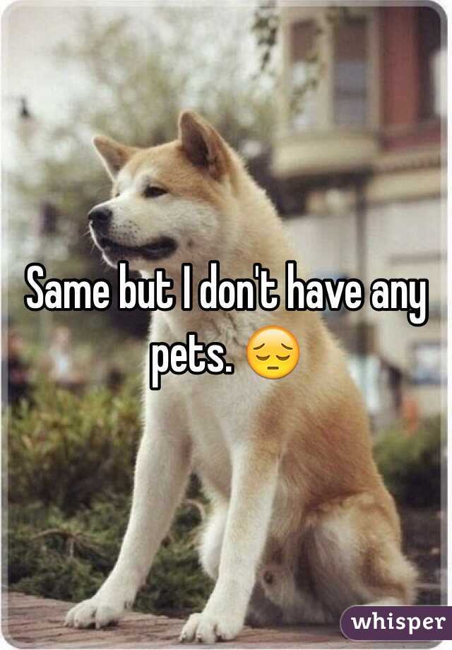 Same but I don't have any pets. 😔