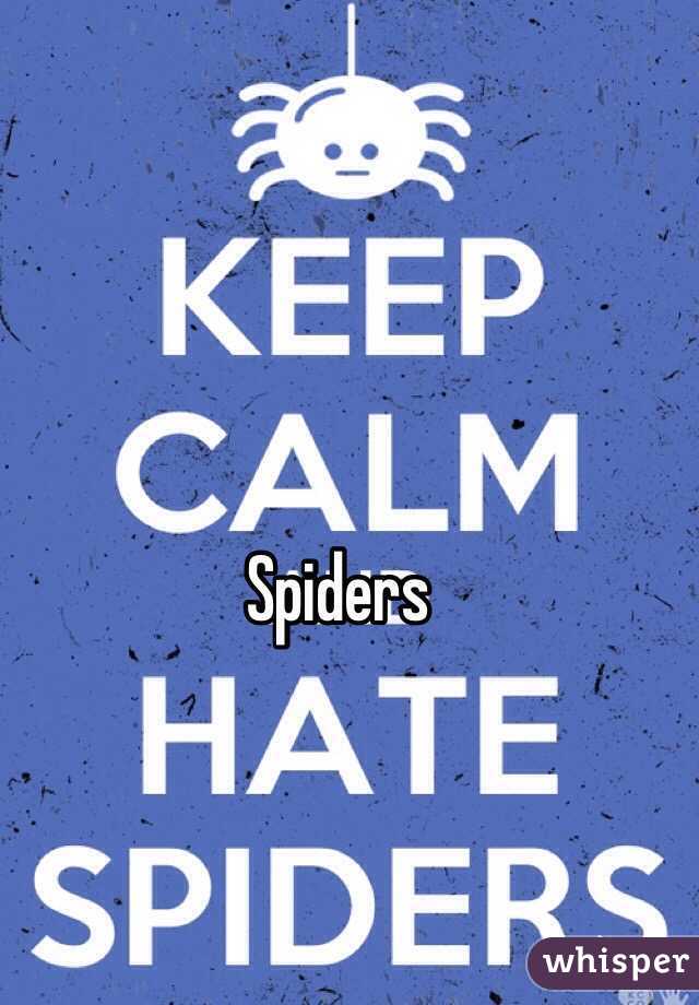 Spiders