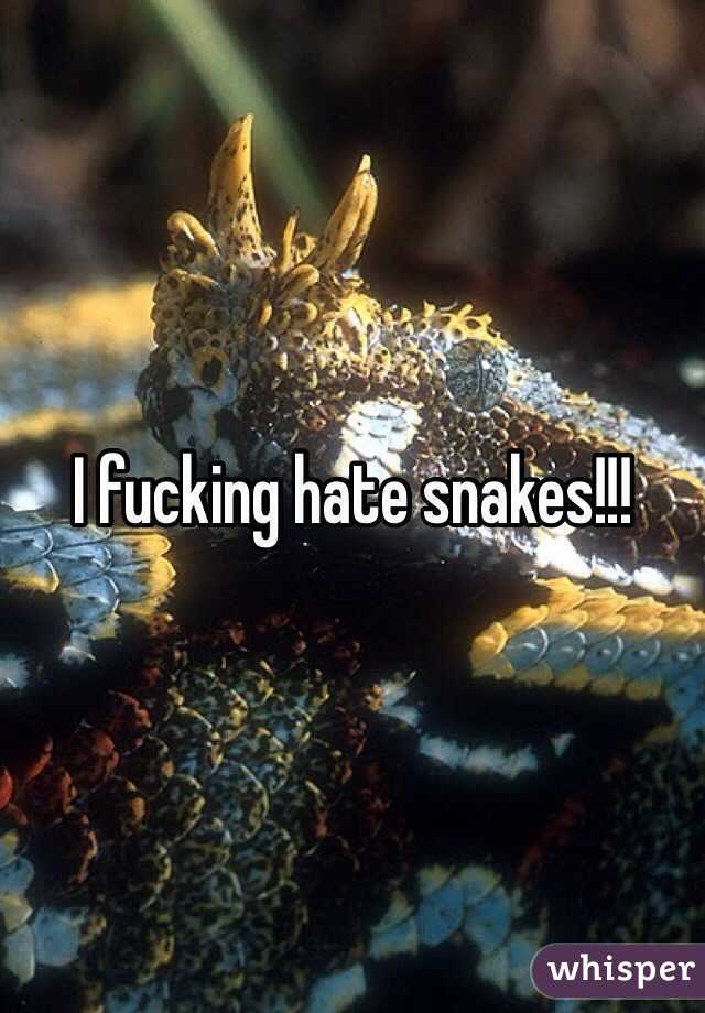 I fucking hate snakes!!!