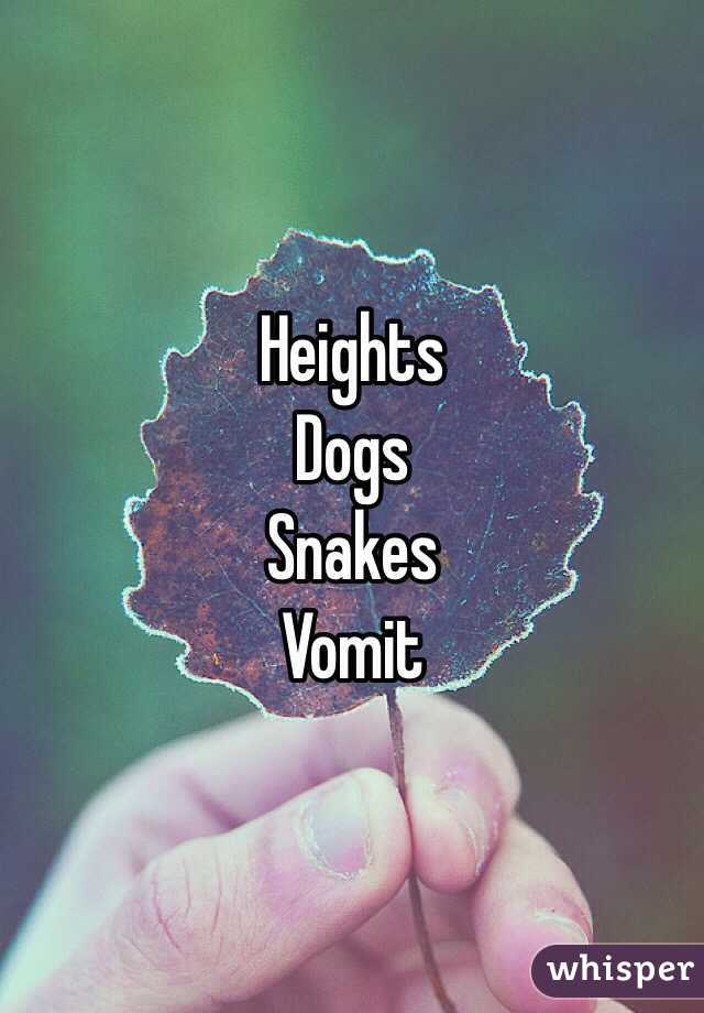 Heights
Dogs
Snakes
Vomit 