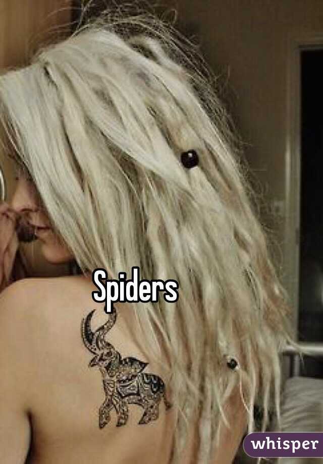 Spiders 