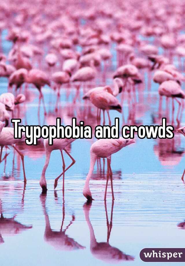 Trypophobia and crowds 