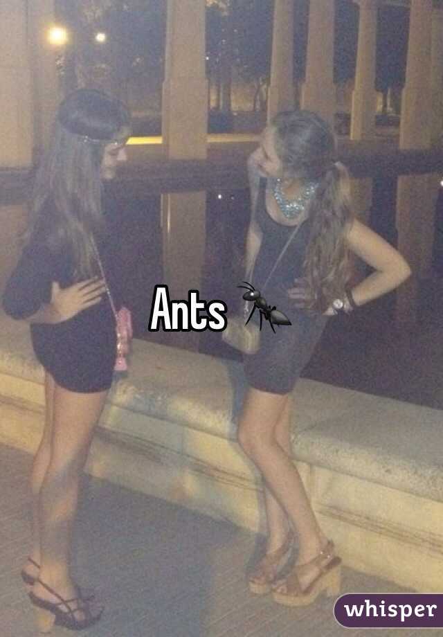 Ants 🐜