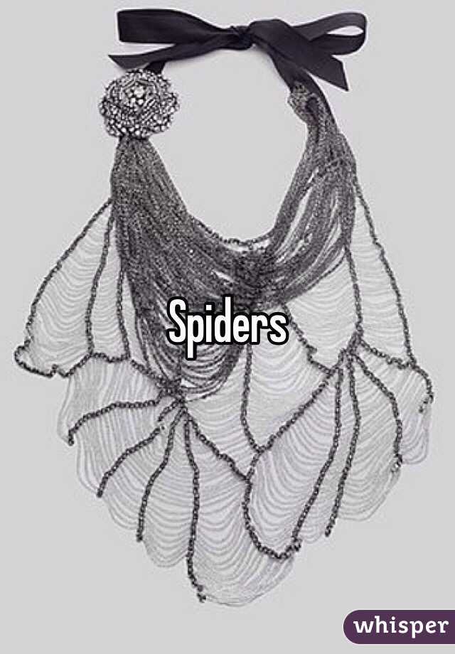 Spiders