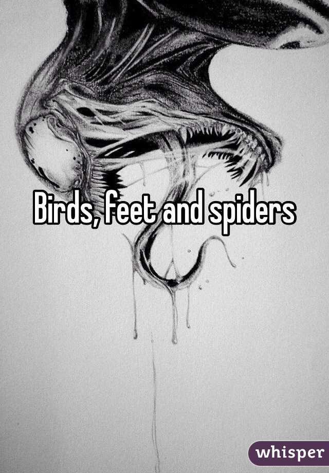 Birds, feet and spiders 
 