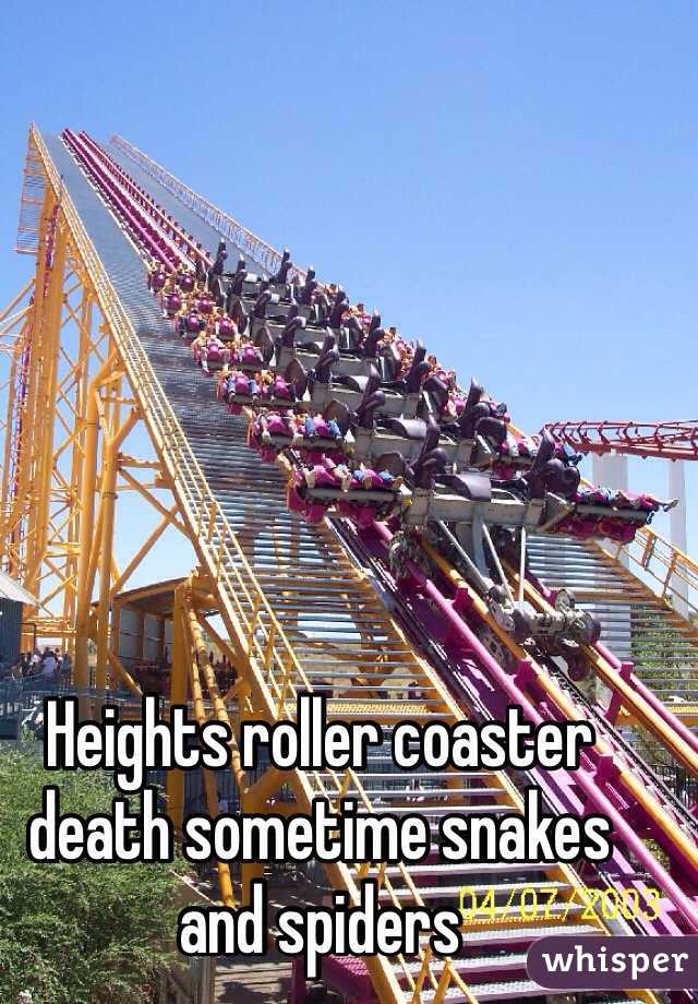 Heights roller coaster death sometime snakes and spiders