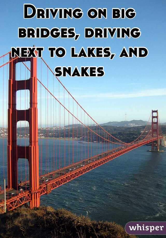 Driving on big bridges, driving next to lakes, and snakes
