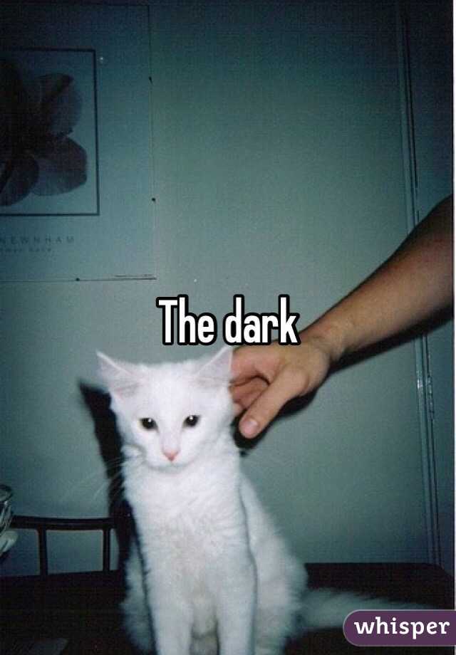 The dark