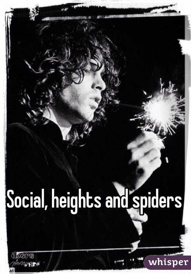 Social, heights and spiders 