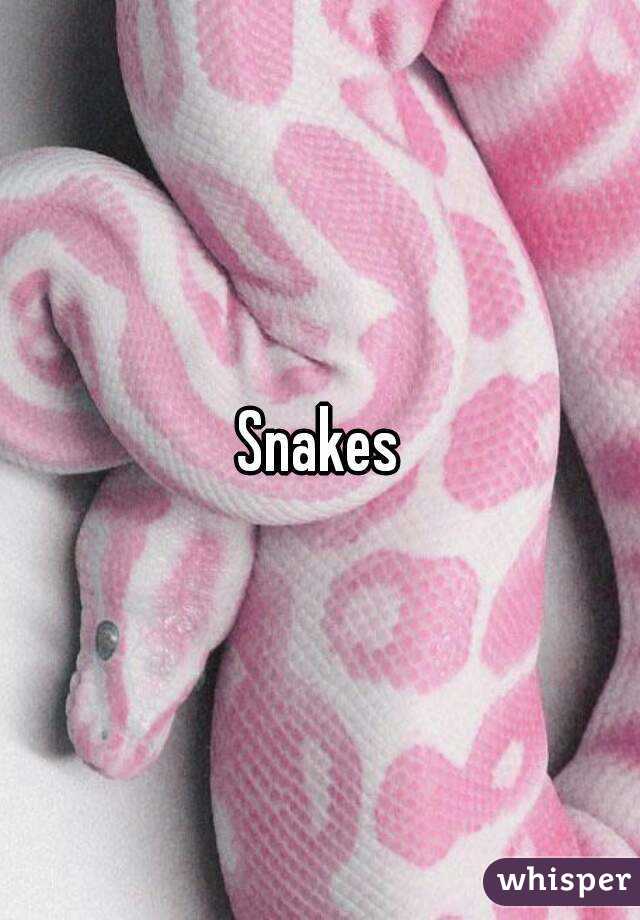 Snakes