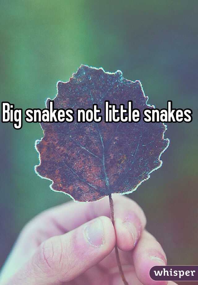 Big snakes not little snakes