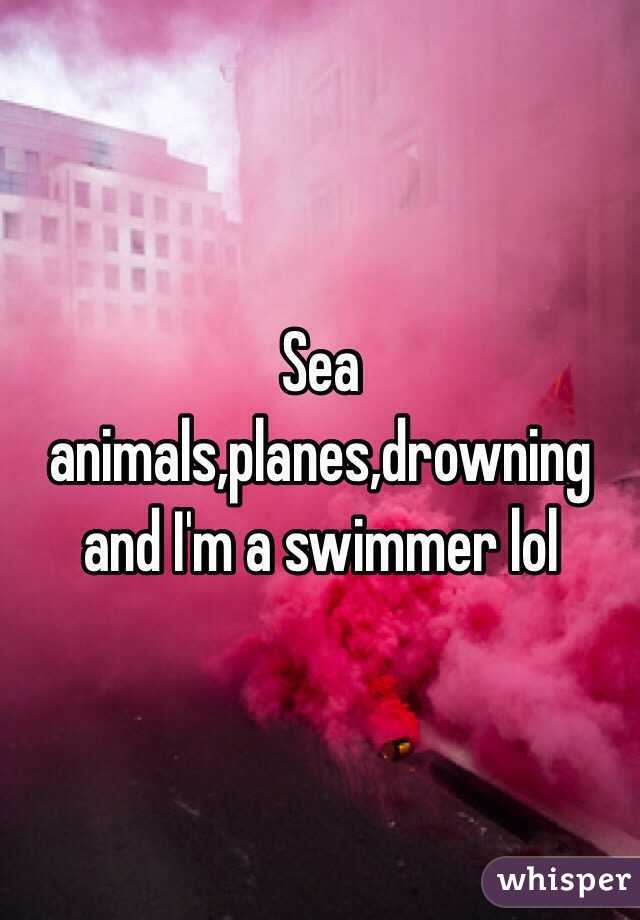 Sea animals,planes,drowning and I'm a swimmer lol