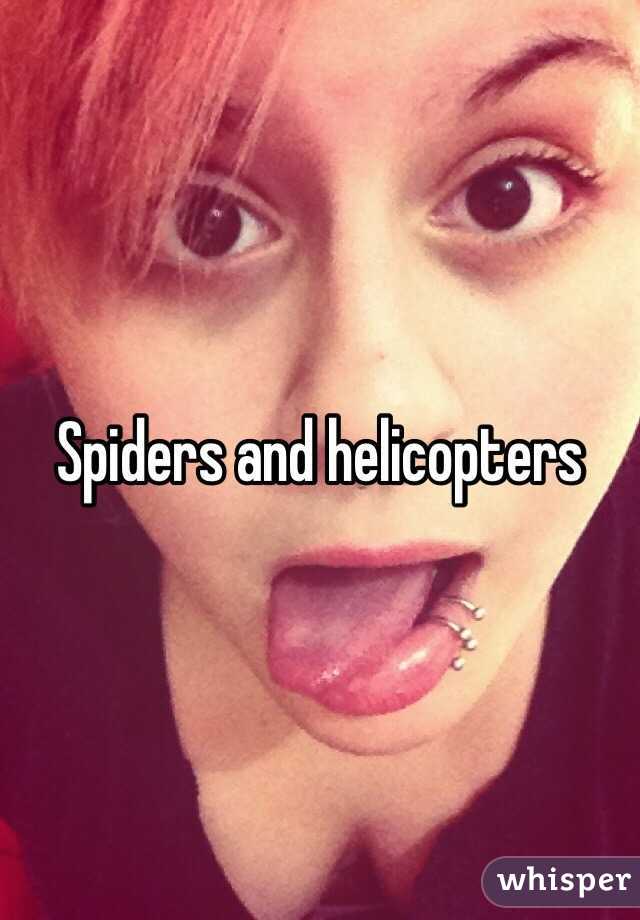 Spiders and helicopters 