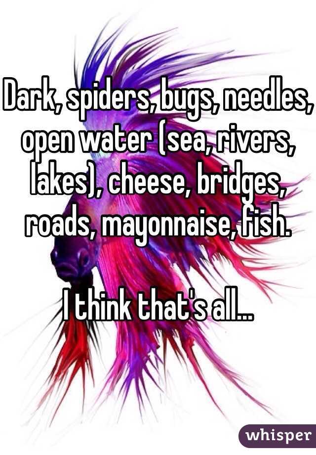 Dark, spiders, bugs, needles, open water (sea, rivers, lakes), cheese, bridges, roads, mayonnaise, fish. 

I think that's all...