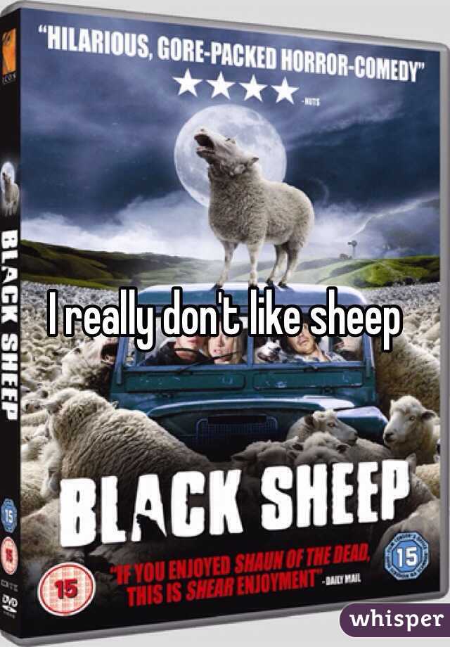 I really don't like sheep