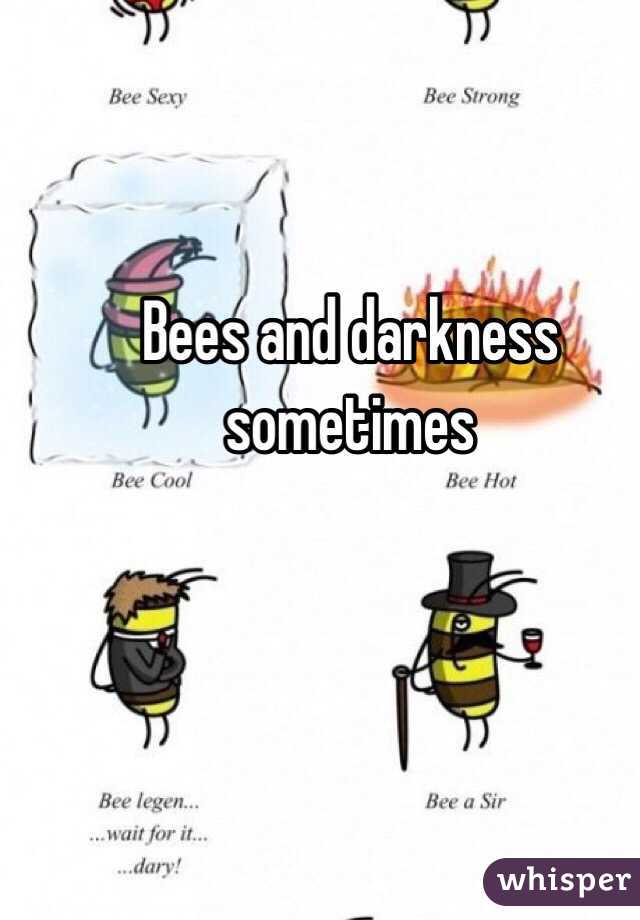 Bees and darkness sometimes