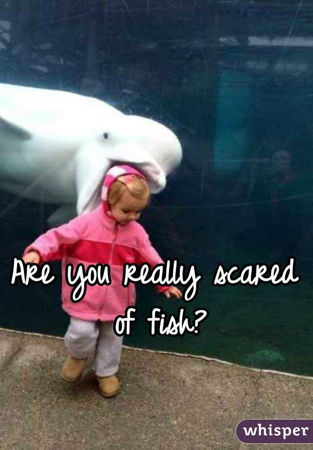 Are you really scared of fish?