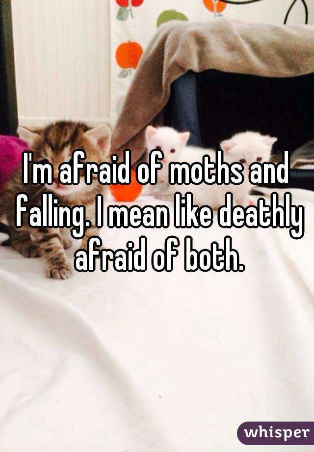 I'm afraid of moths and falling. I mean like deathly afraid of both.