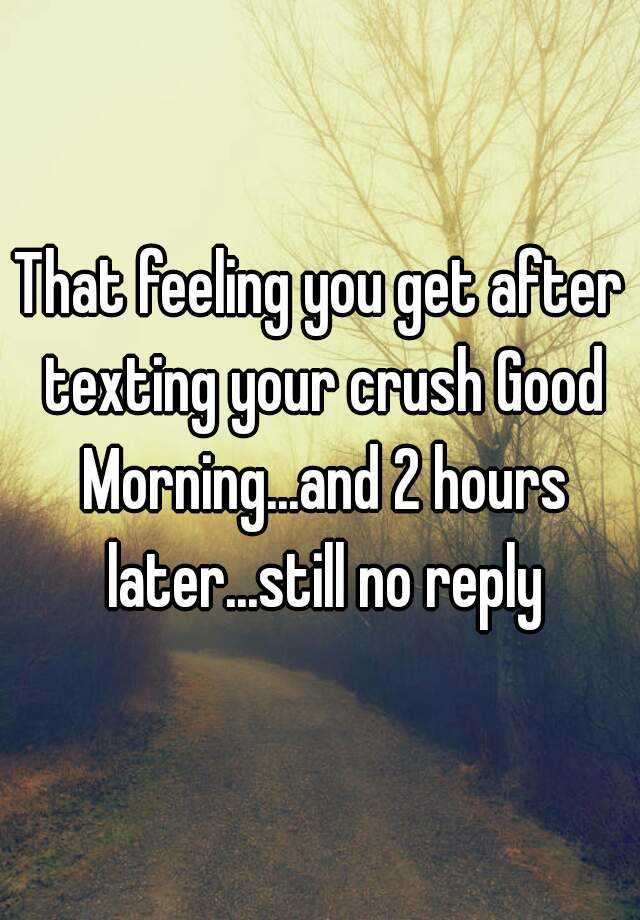 that-feeling-you-get-after-texting-your-crush-good-morning-and-2